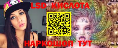 МДПВ Кингисепп