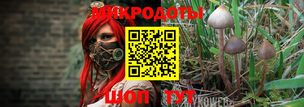 купить  цена  Вход с VPN  Псилоцибиновые грибы Psilocybe  Выкса  Псилоцибиновые грибы GOLDEN TEACHER 