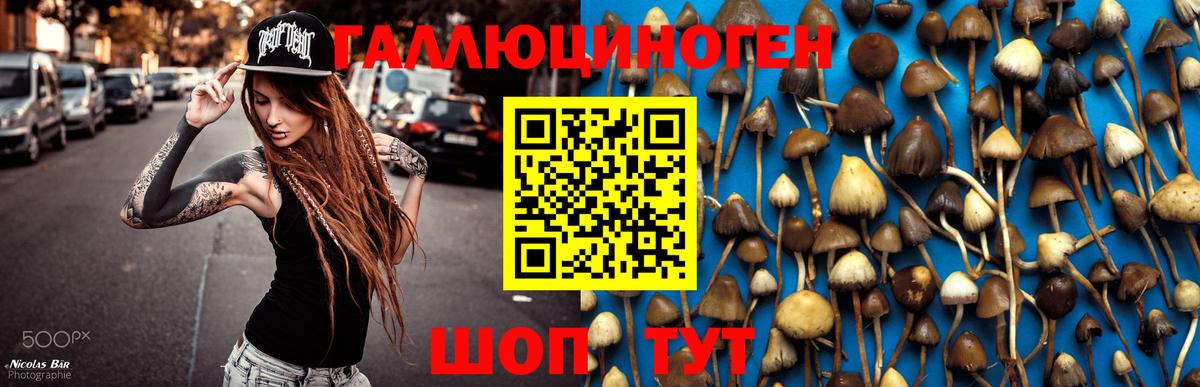 Галлюциногенные грибы мухоморы Выкса